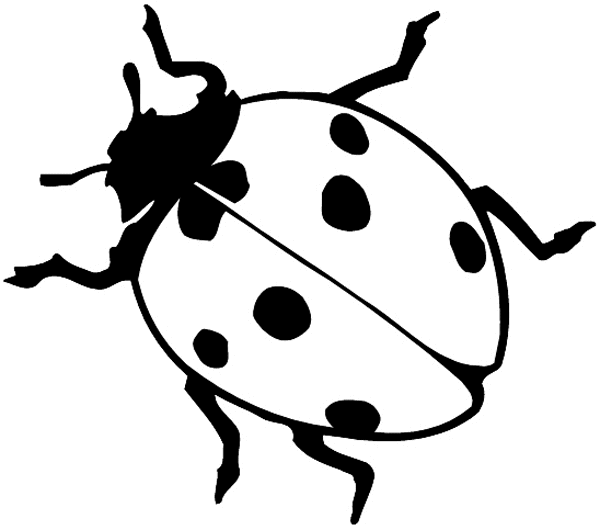 Ladybug vinyl sticker. Customize on line.       Animals Insects Fish 004-1323  